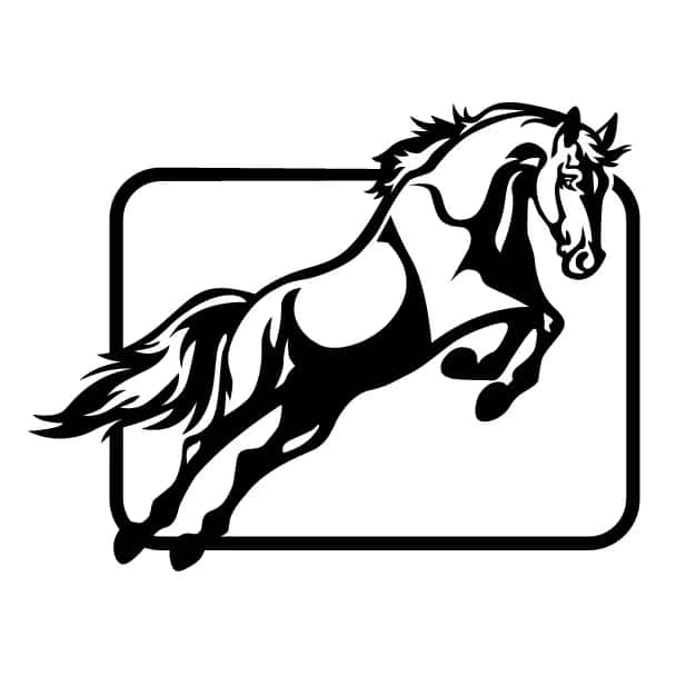 Running Horse Car Hanging